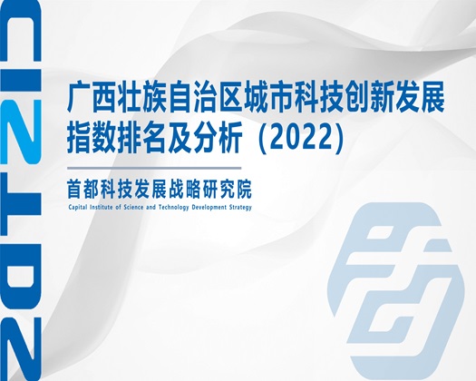 插入啊啊啊在线观看【成果发布】广西壮族自治区城市科技创新发展指数排名及分析（2022）